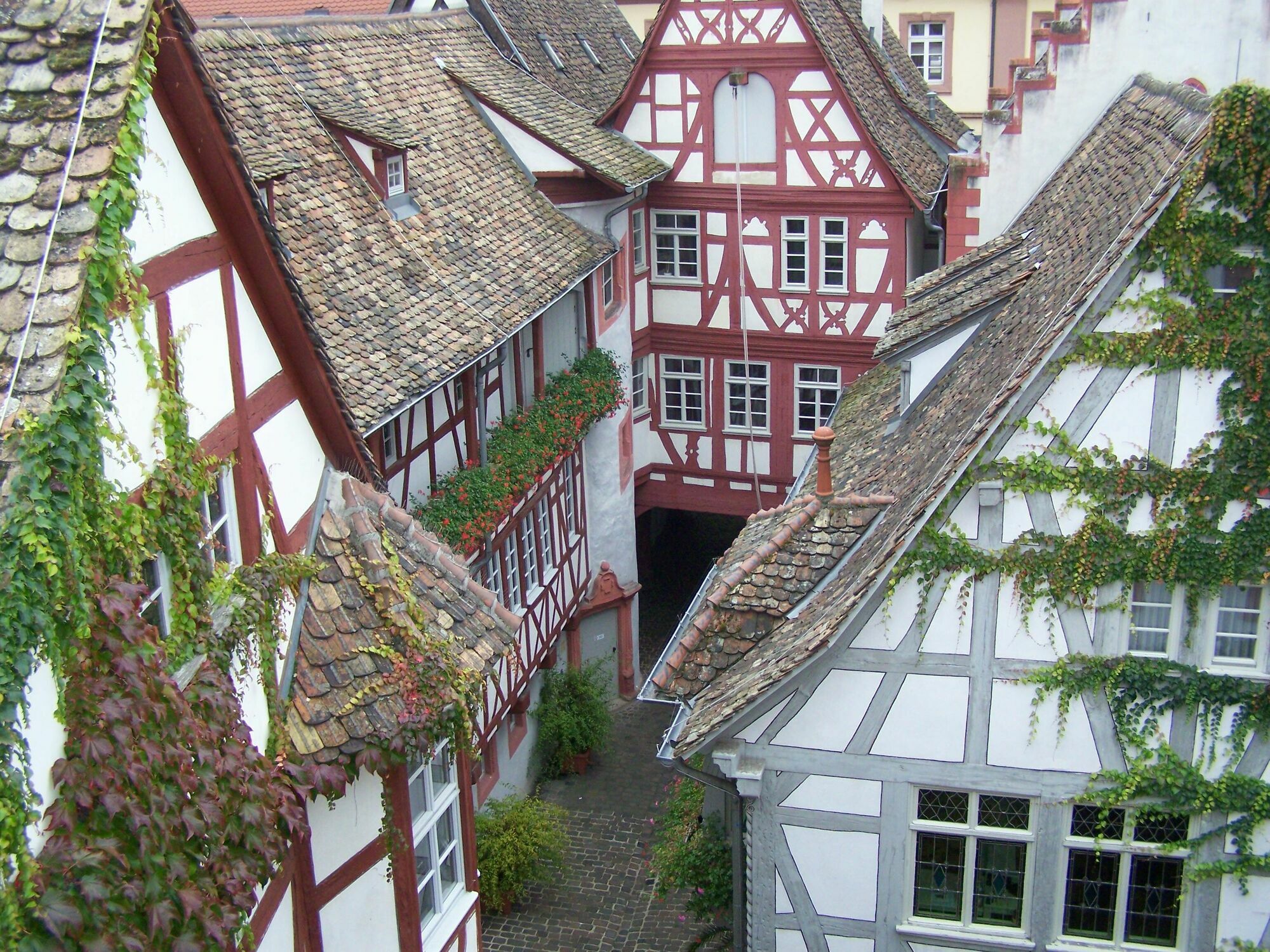 Steinhaeuser Hof Neustadt an der Weinstraße Exterior foto